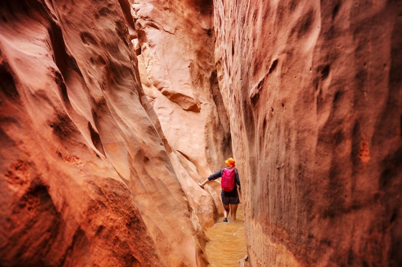 Adventure Tours in India with Fenex