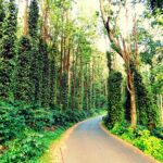 corporate-tour-yercaud
