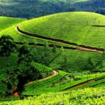 corporate-tour-munnar