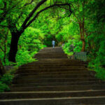 corporate-tour-Yelagiri